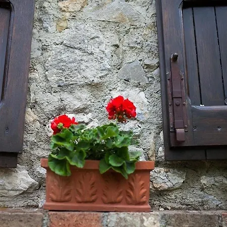In Vergemoli Mit Eigener Terrasse - B54869 *